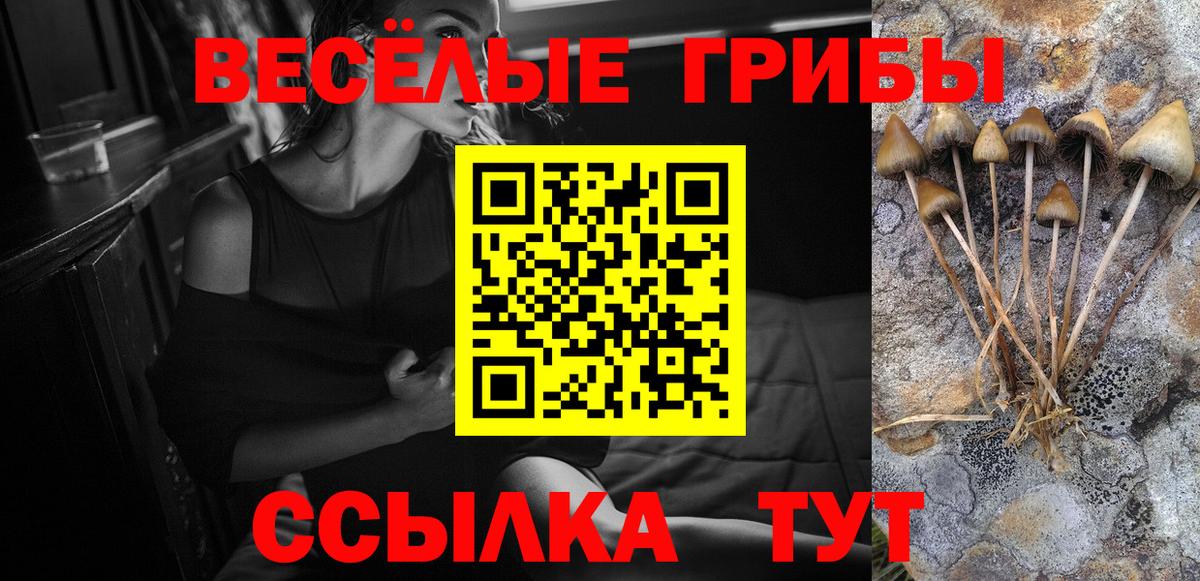 Псилоцибиновые грибы мухоморы Дзержинск